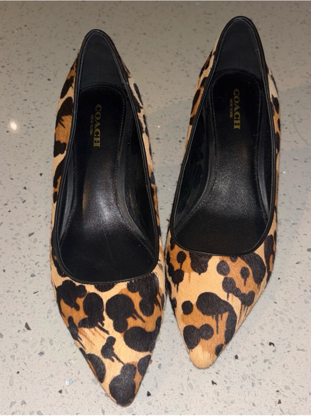 Coach Leopard Print Pointed Toe Pumps in Black and Tan